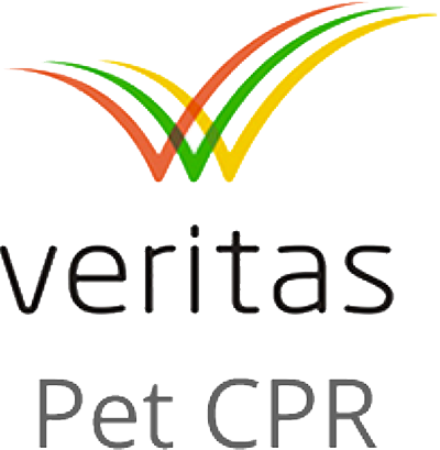 Veritas Logo