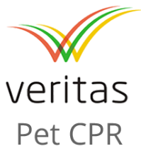 Veritas Logo